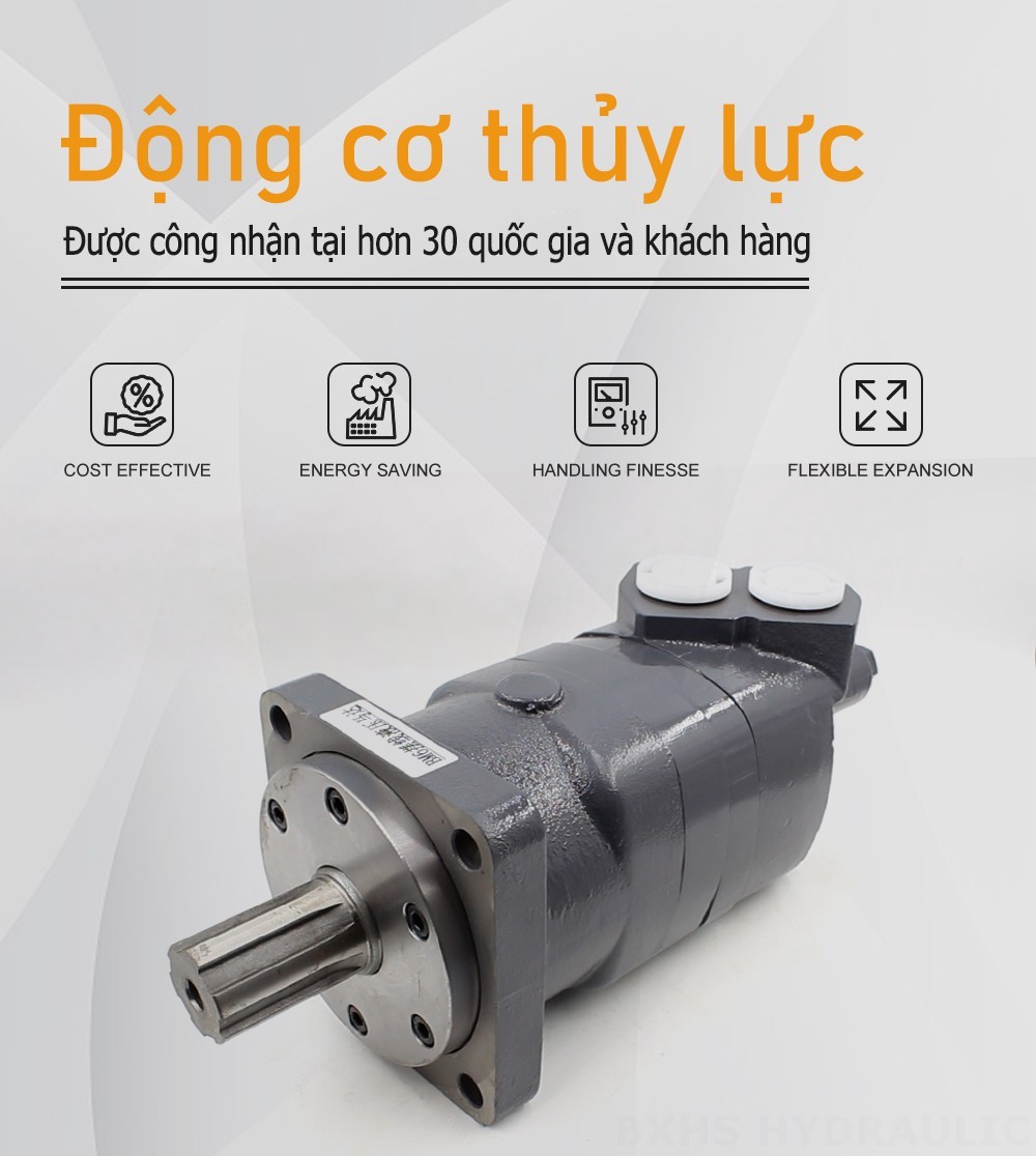 Mô-tơ thủy lực Cycloid BM6 195 cc/vòng 150 L/phút Mô tơ thủy lực